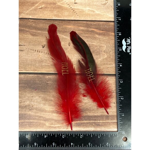 ArtMinds RED NOEL Stenciled Feathers 2 PACKS 279691 HOLIDAY - Picture 2 of 2